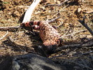 photo thumbnail #11