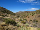 photo thumbnail #13
