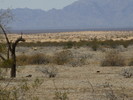 photo thumbnail #3