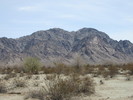 photo thumbnail #5