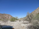 photo thumbnail #1