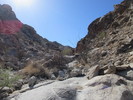 photo thumbnail #3