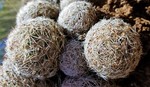 photo thumbnail #6