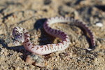 photo thumbnail #11