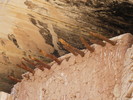photo thumbnail #10