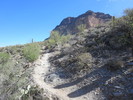 photo thumbnail #1