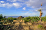 photo thumbnail #12