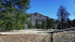 photo thumbnail #1