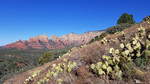 photo thumbnail #3