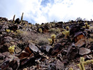 photo thumbnail #7