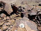 photo thumbnail #10