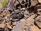 photo thumbnail #13