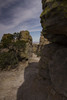 photo thumbnail #11
