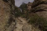 photo thumbnail #13