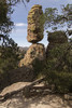photo thumbnail #15