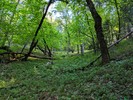 photo thumbnail #1