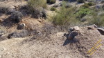 photo thumbnail #1