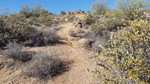 photo thumbnail #2