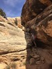photo thumbnail #9