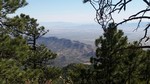 photo thumbnail #5