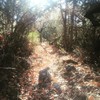photo thumbnail #7