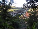 photo thumbnail #1