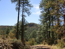 photo thumbnail #1