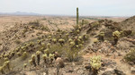 photo thumbnail #1
