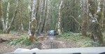 photo thumbnail #14