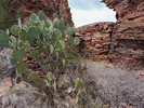 photo thumbnail #10