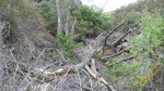 photo thumbnail #14