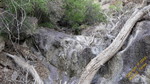 photo thumbnail #15