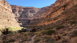 photo thumbnail #13