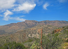 photo thumbnail #4