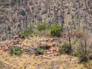 photo thumbnail #10