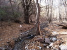 photo thumbnail #8