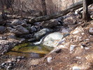photo thumbnail #9