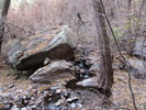 photo thumbnail #12