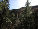 photo thumbnail #13