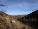 photo thumbnail #14