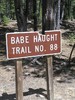 photo thumbnail #7