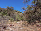 photo thumbnail #5