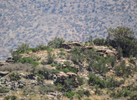 photo thumbnail #15