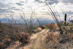 photo thumbnail #5