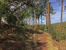 photo thumbnail #2