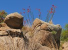 photo thumbnail #8