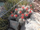 photo thumbnail #4