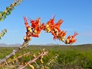 photo thumbnail #3