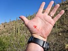 photo thumbnail #10