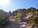 photo thumbnail #13